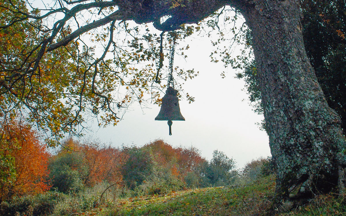 Άγιοι Θεώδοροι Ραψάνη Δ. Τεμπών