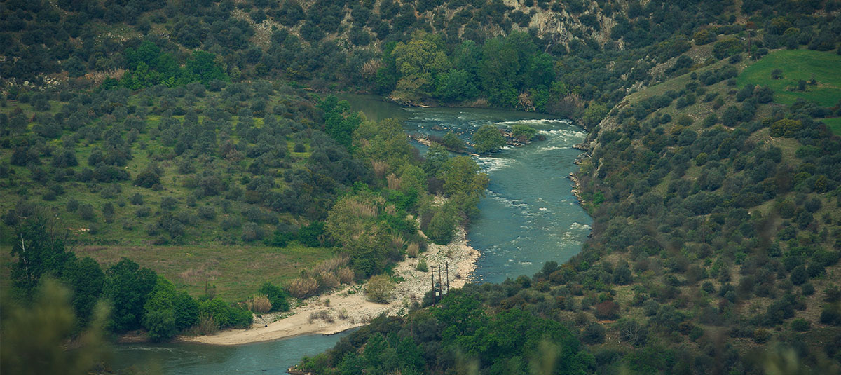 Δήμος Τεμπών