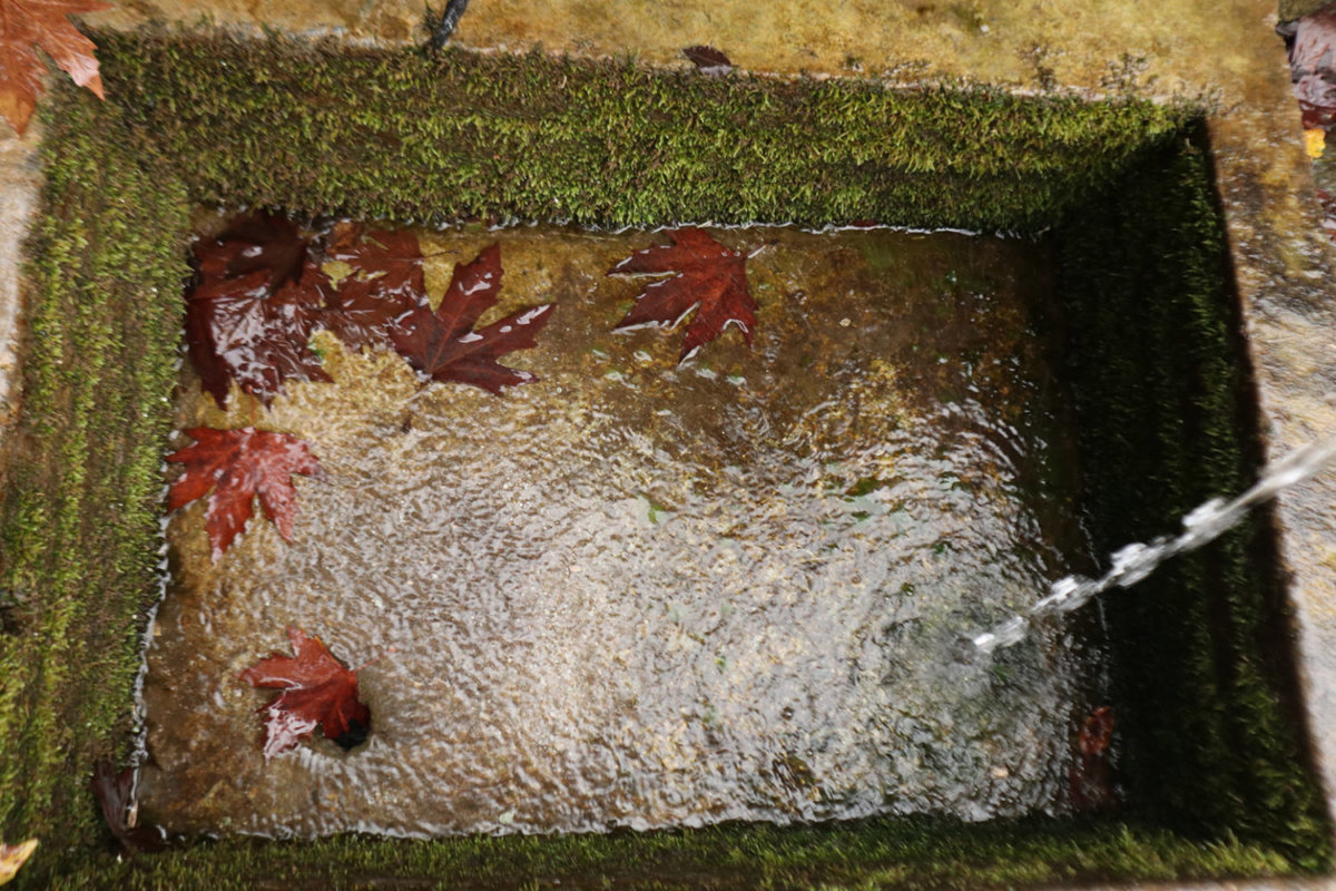 202111030659580299-1200x800