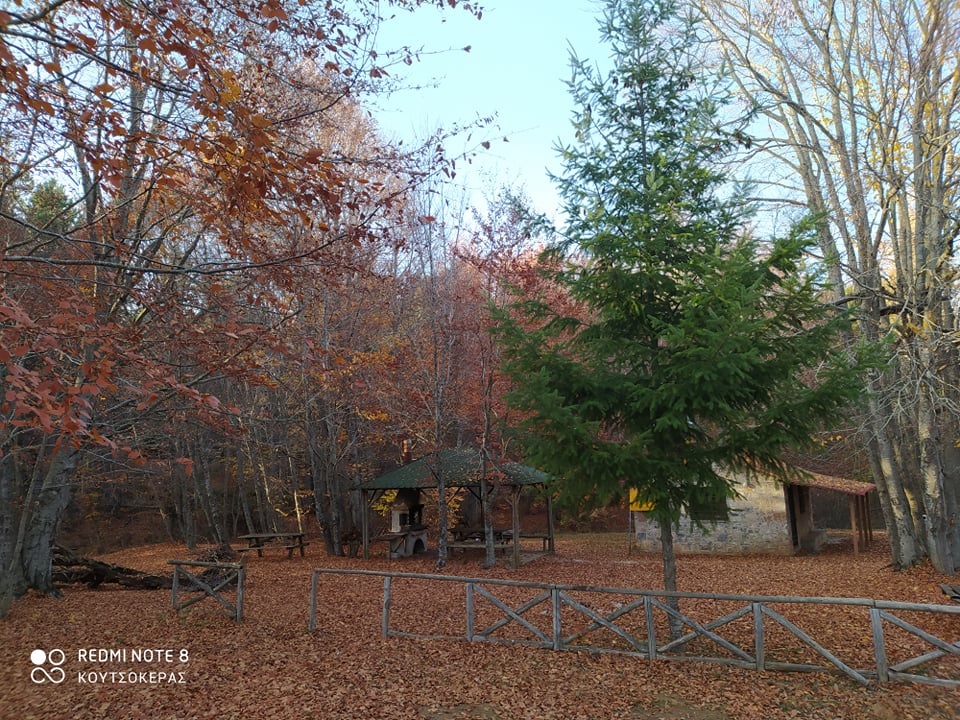 254159187_600075574522328_5925008691810322718_n