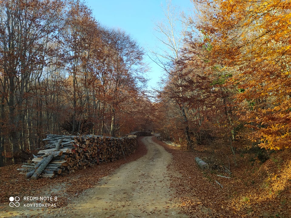 254317517_278266124070326_4370367118107537162_n