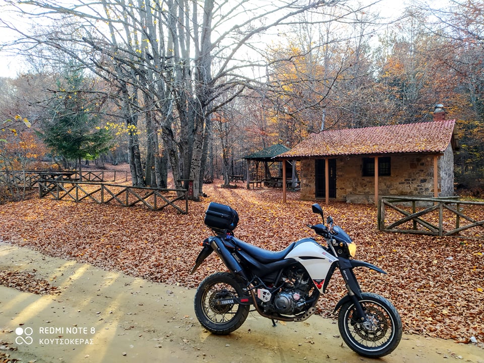 254349728_309788867398786_6846899649997219045_n