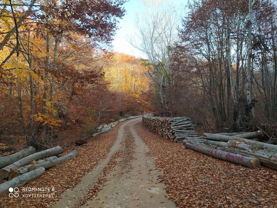 254350211_454529836007895_3393072059447084_n