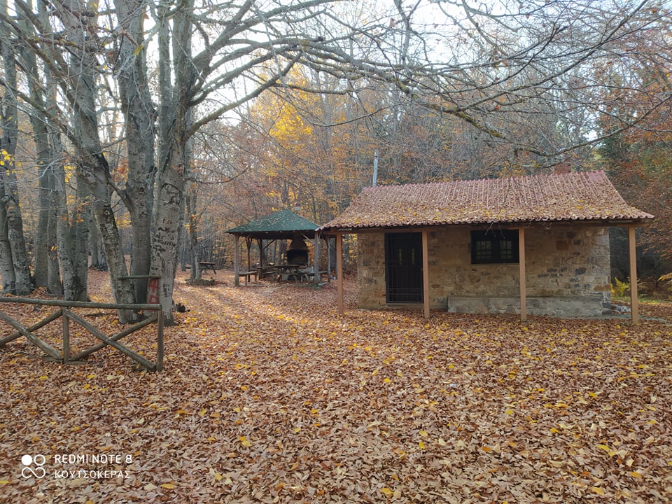 254502812_1159276134602235_1358542231492270473_n