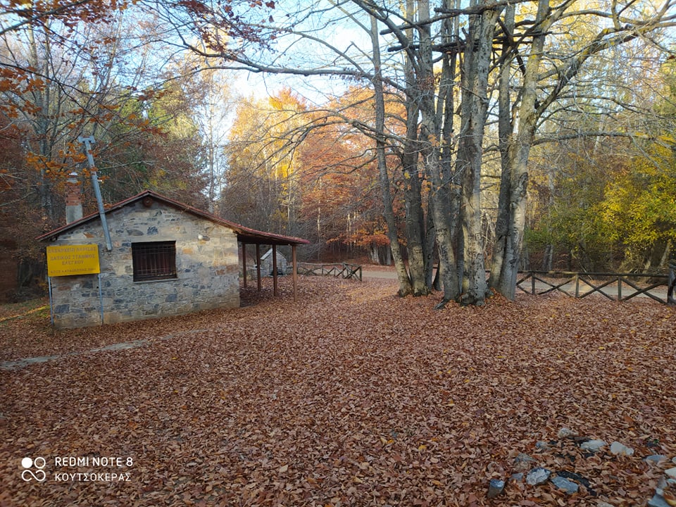 254693378_936499433884279_1303373715609995101_n