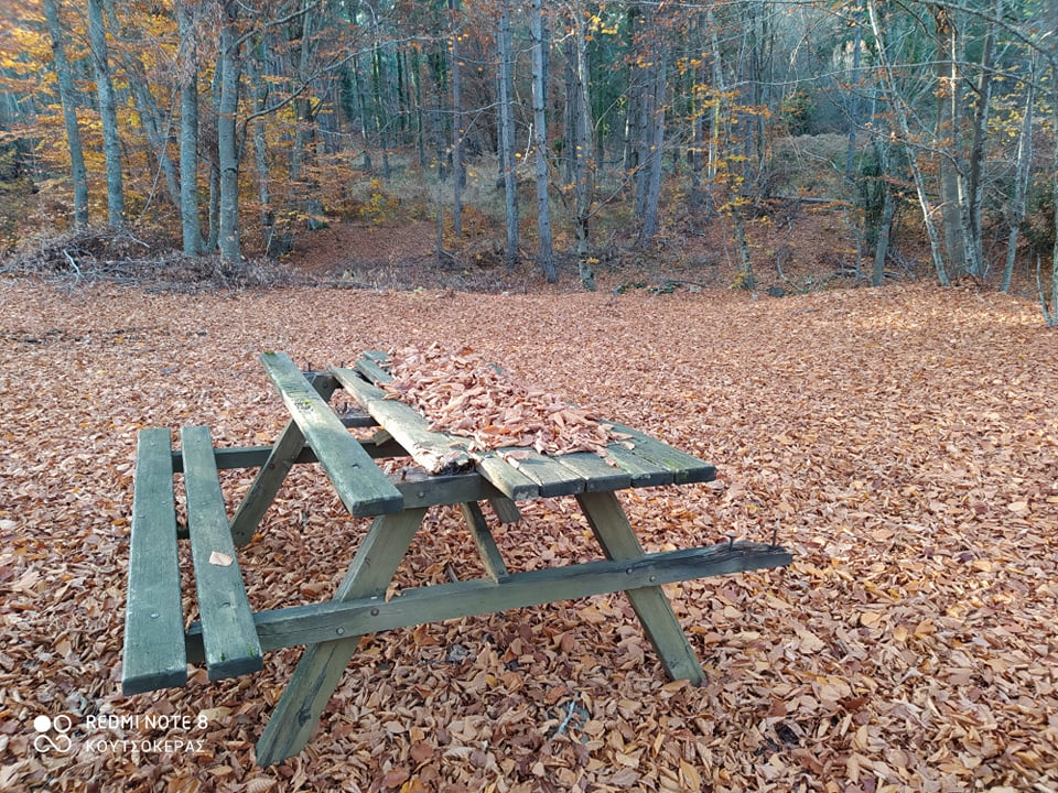 255421321_217449577167755_6833142752731164925_n